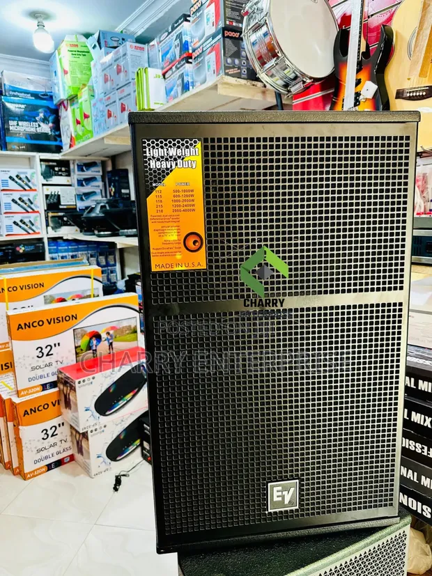 EV Professional Speaker Mid Single 15 Inch - 1