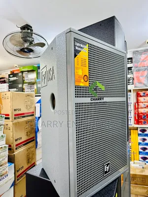 EV Professional Speaker 15 Inch