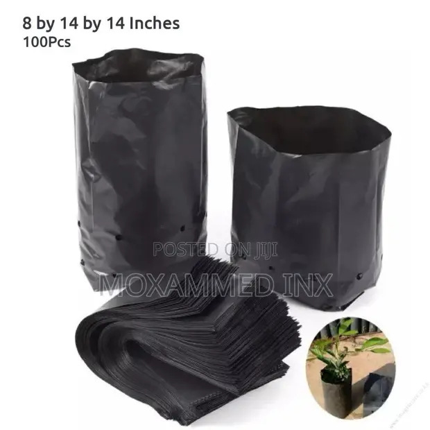 Seedling Bags 8x14x14 (Pack of 100) - 1