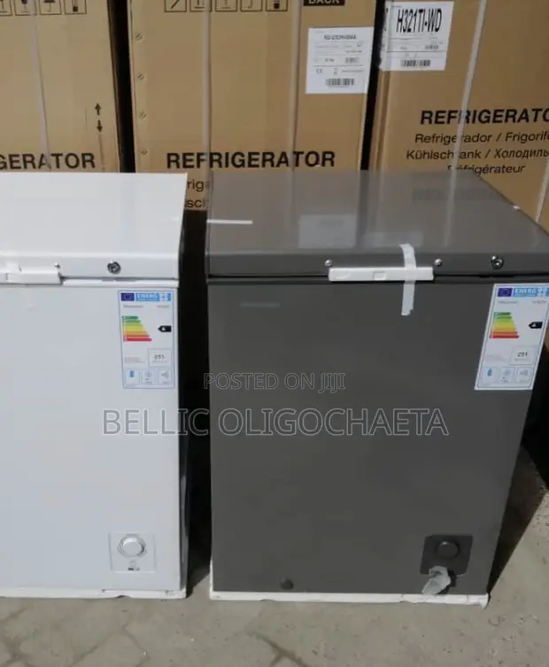 Hisense Freezer H245CFS (200L) - 1