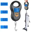 Portable Hanging Scale 50kg - 1