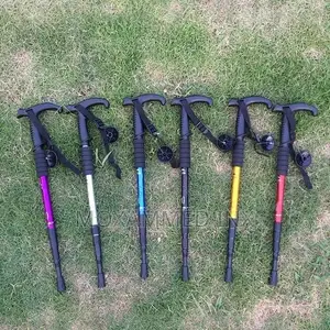 Black Anti-Shock Trekking Pole - King