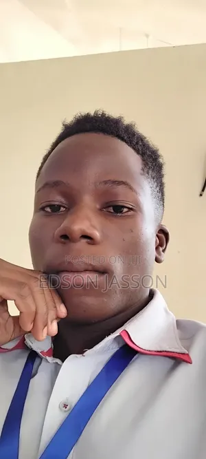 Business Promoter & Sales Agent CV - Edson Jasson