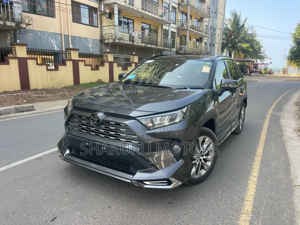 Toyota RAV4 2020 - Gray - 1