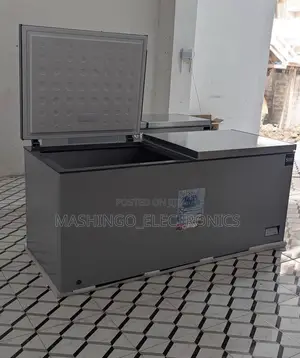 750 Liter Roch Chest Freezer