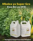 Earth Juice Super Glo Vitality Valley Fertilizer - 1