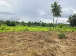 Kiwanja cha Makazi Kinauzwa - Bunju - 3