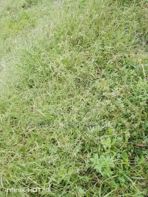 Residential Plot for Sale - Bunju