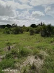 Residential Plot for Sale - Bunju - 4
