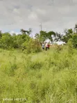 11 Hectares Agricultural Land for Sale, Mkuranga - 1