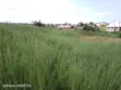 11 Hectares Agricultural Land for Sale, Mkuranga - 2