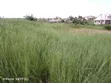 11 Hectares Agricultural Land for Sale, Mkuranga - 3