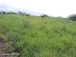11 Hectares Agricultural Land for Sale, Mkuranga - 4