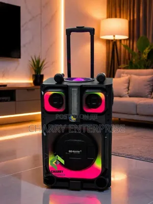 Aborder Rechargeable Party Speaker with 2 Wireless Microphones