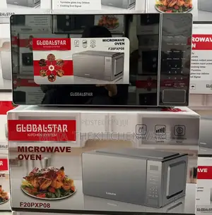 Globalstar Digital Microwave 20L Silver