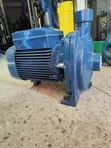 Pedrollo CPm 170 Surface Water Pump 1.5HP - 1