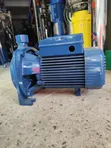 Pedrollo CPm 170 Surface Water Pump 1.5HP - 2