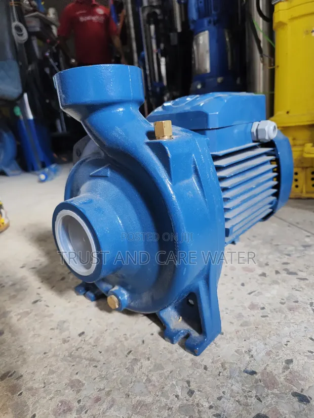 Pedrollo Surface Pump 1.5HP (2x2 Inch) - 1