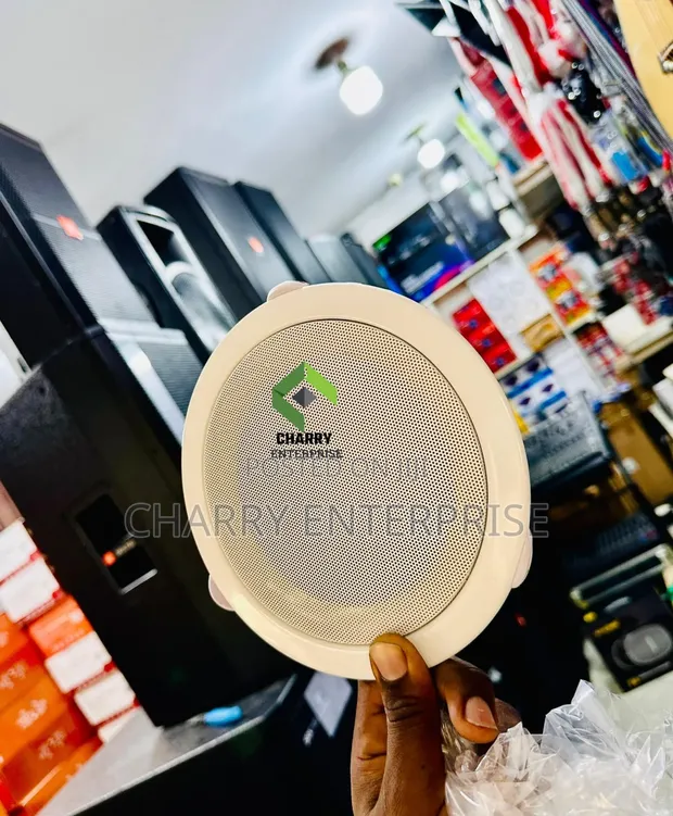 Professional 6-Inch Audio Ceiling Speaker - 1