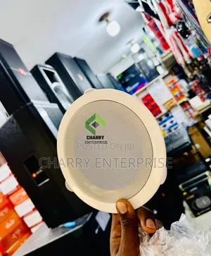 Professional 6-Inch Audio Ceiling Speaker