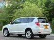 Toyota Vanguard 2010 Pearl - 2