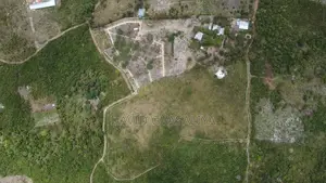 8 Acres Land with Houses, Solar, Wind, Fruit Park - Kijundu