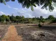 8 Acres Land with Houses, Solar, Wind, Fruit Park - Kijundu - 4