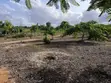 8 Acres Land with Houses, Solar, Wind, Fruit Park - Kijundu - 5