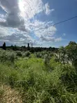 Residential Plot for Sale - Bunju Beach - 5