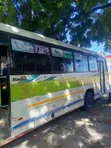 Tata Starbus Ultra Skool 2015 - Green - 3