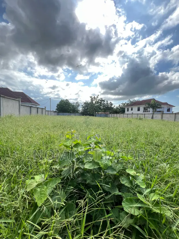 Residential Plot for Sale - Bunju Beach, Dar es Salaam - 1