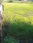 6000 sqm Residential Plot for Rent at Mbezi Beach Rainbow - 1
