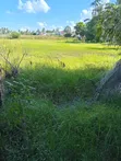 6000 sqm Residential Plot for Rent at Mbezi Beach Rainbow - 3