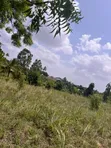 Commercial Land for Sale - Goba Njia Nne, 1000 SQM - 1