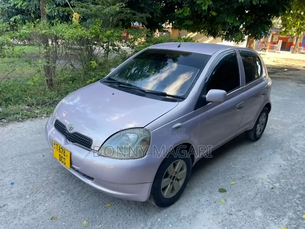 Toyota Vitz 2004 Pink - 1