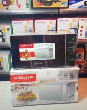 20L Globalstar Microwave