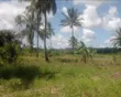 11 Acres Commercial Land for Sale, Mkuranga Dundani - 3