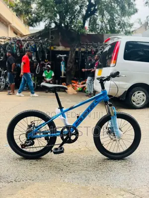 BMX Bike Size 20 (Brand New)