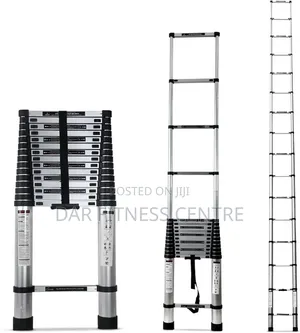 Telescopic Ladder 3 Meteri