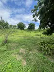 Eneo la Viwanja 6000 sqm kwa Ajili ya Makazi, Kawe Beach - 3