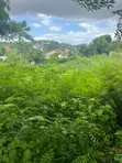 1000 sqm Residential Plot for Sale, Salasala Mboma Road - 1