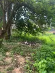 1000 sqm Residential Plot for Sale, Salasala Mboma Road - 2