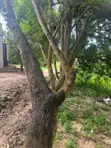 1000 sqm Residential Plot for Sale, Salasala Mboma Road - 3
