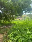 1000 sqm Residential Plot for Sale, Salasala Mboma Road - 4