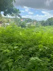 1000 sqm Residential Plot for Sale, Salasala Mboma Road - 5