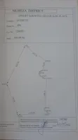 Farmland for Sale in Tanga, Mheza (20,000 Acres) - 2