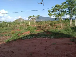 500 Acre Farmland for Sale, Morogoro