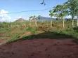 Shamba la Eka 500 Linauzwa Morogoro - 1
