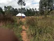 Industrial Plot for Sale, Bagamoyo - 1