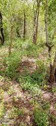 Industrial Plot for Sale, Bagamoyo - 4